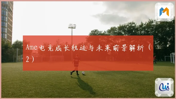 Ame电竞成长轨迹与未来前景解析（2）