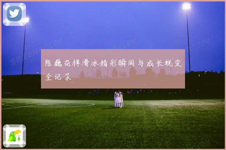 陈巍花样滑冰精彩瞬间与成长蜕变全记录