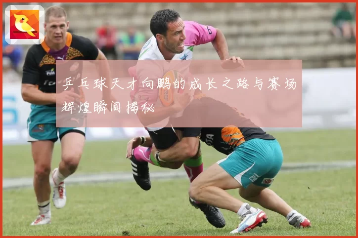 乒乓球天才向鹏的成长之路与赛场辉煌瞬间揭秘
