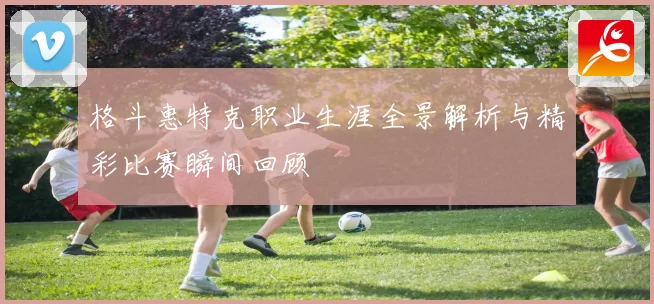 格斗惠特克职业生涯全景解析与精彩比赛瞬间回顾