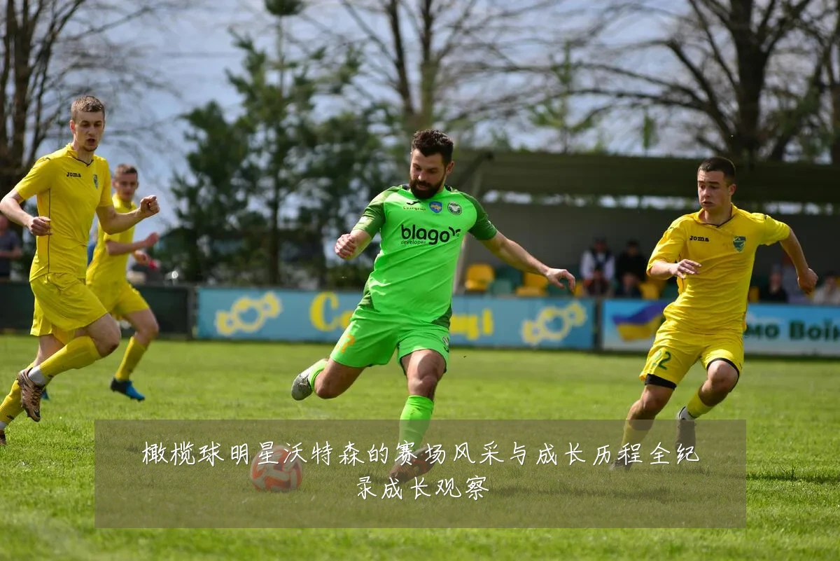 橄榄球明星沃特森的赛场风采与成长历程全纪录成长观察