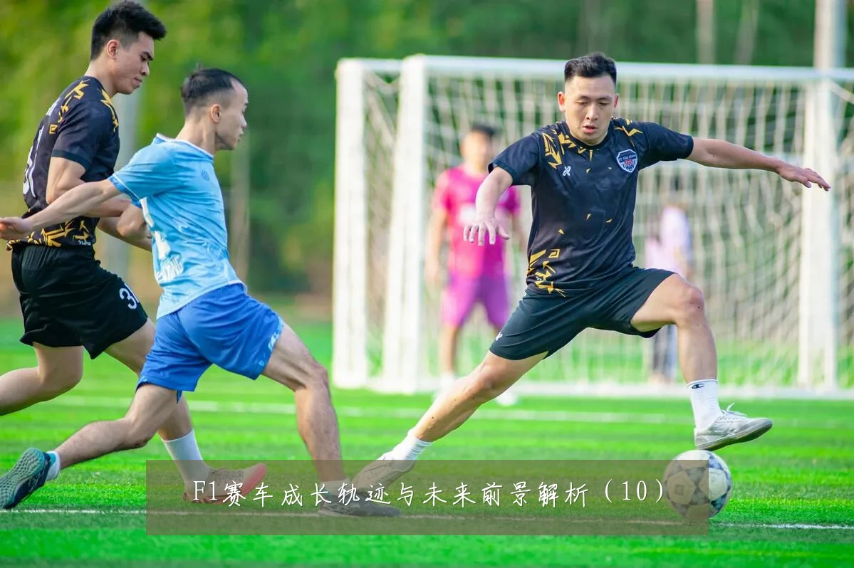 F1赛车成长轨迹与未来前景解析(10)